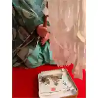 釧路一之宮 厳島神社(北海道)