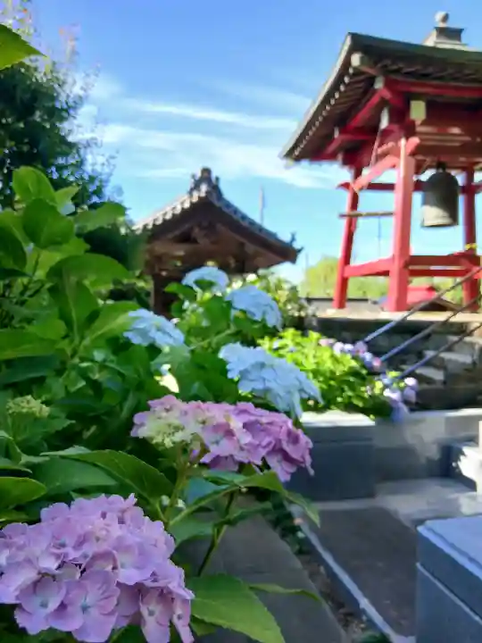 長福寺(千葉県)