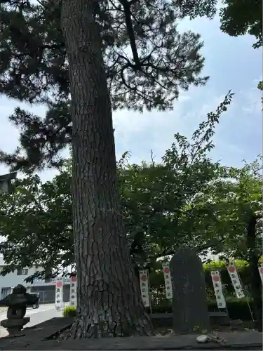 鹿苑神社(静岡県)