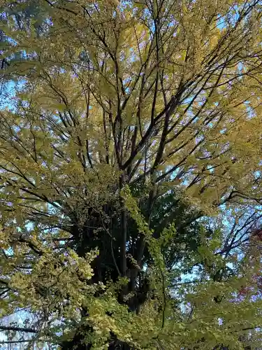 鞆江神社（明地）(愛知県)