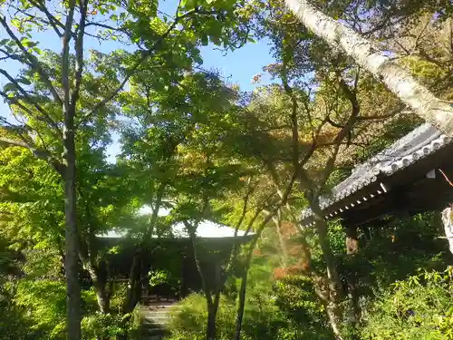 浄光明寺の庭園