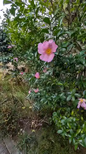 尊陽院(京都府)