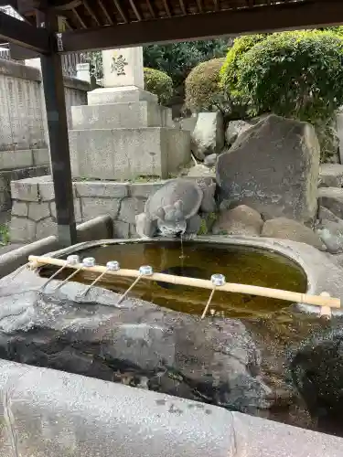 住吉神社の{uncategorized: "未分類", other: "その他", undefined: "問題あり", building: "その他建物", grave: "お墓", sacred_gate: "鳥居", guardian: "狛犬", statue: "像", buddha: "仏像", history: "歴史", nature: "自然", garden: "庭園", animal: "動物", pagoda: "塔", temizu: "手水舎", mountain_gate: "山門・神門", sanctuary: "本殿・本堂", subordinate: "末社・摂社", art: "芸術", scenery: "景色", jizo: "地蔵", ema: "絵馬", goshuin: "御朱印", omikuji: "おみくじ", items: "授与品その他", amulet: "お守り", goshuincho: "御朱印帳", eats: "食事", festival: "お祭り", votive_dance: "神楽", shichigosan: "七五三参", wedding: "結婚式", experience: "体験その他", initially: "初詣", around: "周辺", anti_infection: "感染症対策"}