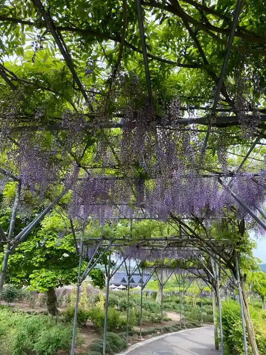 笠間稲荷神社の自然