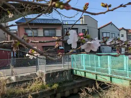 佐屋神社(愛知県)
