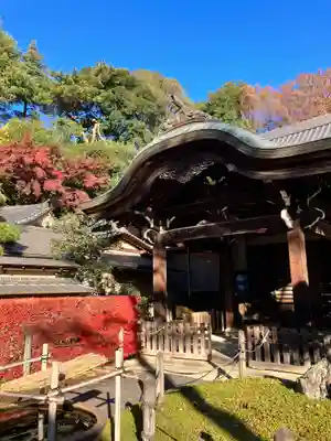 東長谷寺　薬王院(東京都)