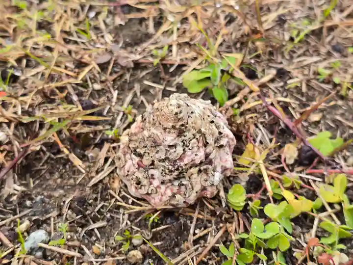 広瀬神社摂社水分神社(奈良県)