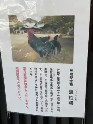 玉祖神社(山口県)