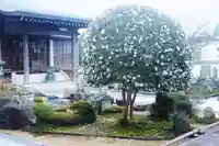 浄土寺(兵庫県)