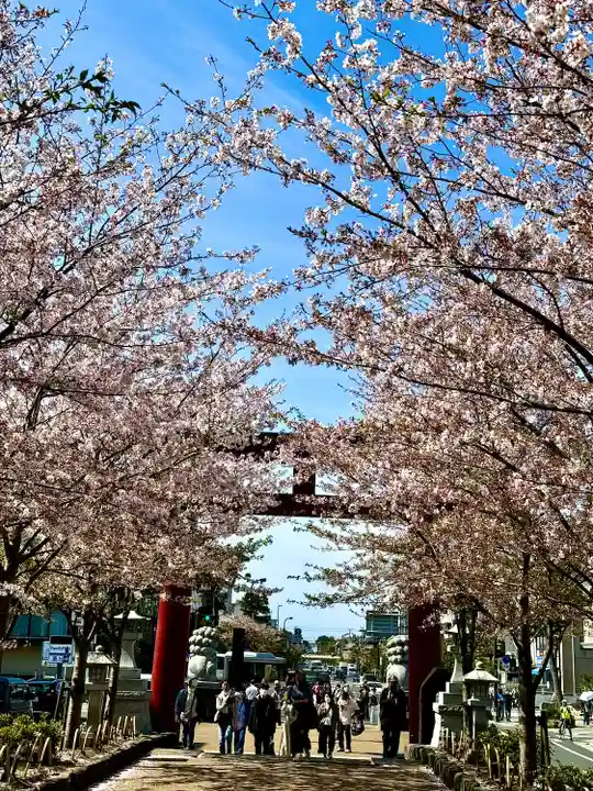 鶴岡八幡宮(神奈川県)