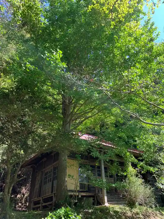 薬師堂の本殿・本堂