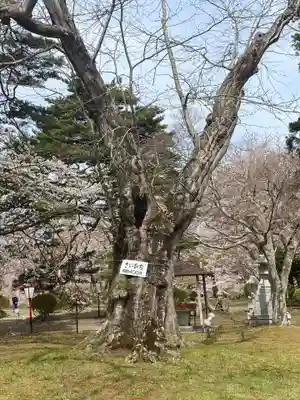 糠部神社の自然