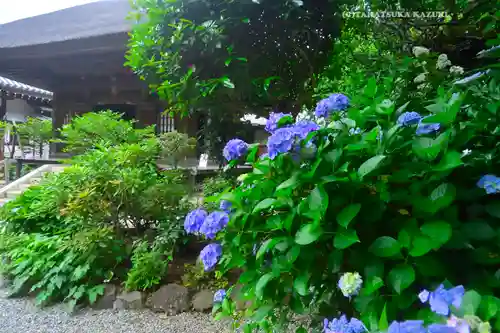 佛日庵(神奈川県)