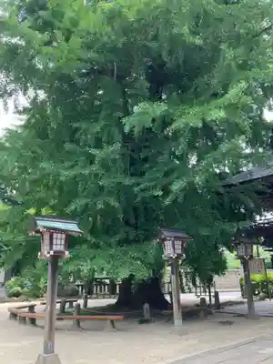 今宮神社(栃木県)
