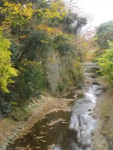 東勝寺跡の自然