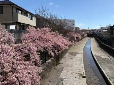 長円寺の{uncategorized: "未分類", other: "その他", undefined: "問題あり", building: "その他建物", grave: "お墓", sacred_gate: "鳥居", guardian: "狛犬", statue: "像", buddha: "仏像", history: "歴史", nature: "自然", garden: "庭園", animal: "動物", pagoda: "塔", temizu: "手水舎", mountain_gate: "山門・神門", sanctuary: "本殿・本堂", subordinate: "末社・摂社", art: "芸術", scenery: "景色", jizo: "地蔵", ema: "絵馬", goshuin: "御朱印", omikuji: "おみくじ", items: "授与品その他", amulet: "お守り", goshuincho: "御朱印帳", eats: "食事", festival: "お祭り", votive_dance: "神楽", shichigosan: "七五三参", wedding: "結婚式", experience: "体験その他", initially: "初詣", around: "周辺", anti_infection: "感染症対策"}