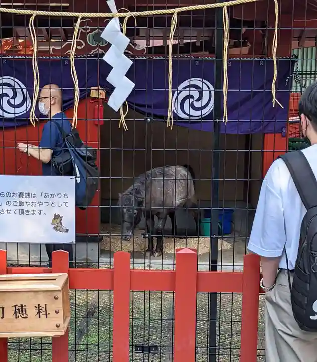 神田神社(神田明神)(東京都)
