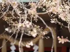 前原御嶽神社(千葉県)