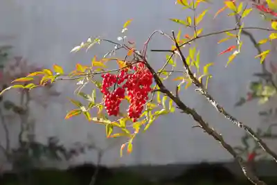 松花堂 泰勝寺(京都府)