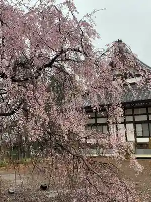 満願寺(埼玉県)