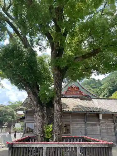勝尾寺(大阪府)