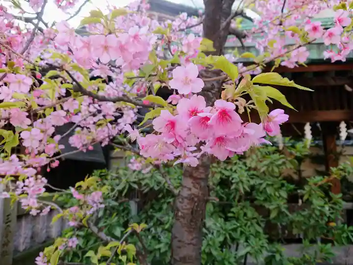 小野照崎神社(東京都)