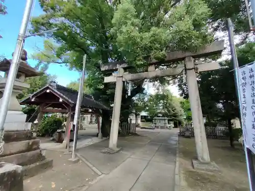 大神神社（花池）の鳥居