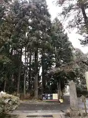 瑞鳳寺の自然