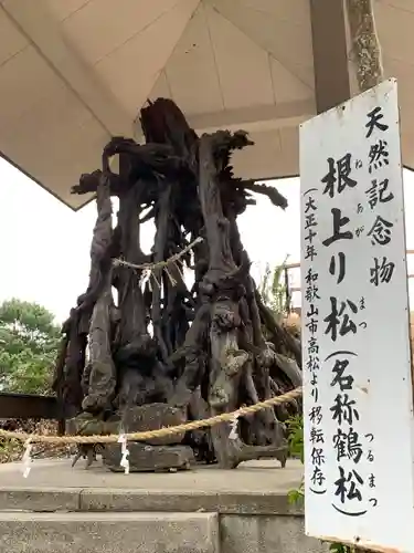 玉津島神社の自然