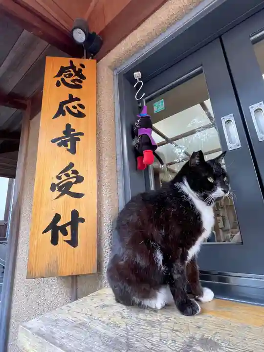 感応寺(東京都)