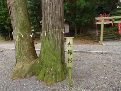 事任八幡宮のその他建物