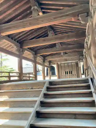 妙心寺（妙心禅寺）の本殿・本堂