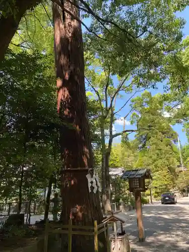 石上神宮(奈良県)