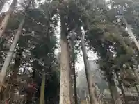 大宮温泉神社(栃木県)