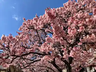 湯前神社(静岡県)