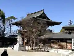 寒川神社(神奈川県)