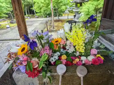 勝林寺(京都府)