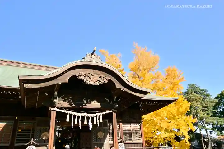 葛飾八幡宮の本殿・本堂