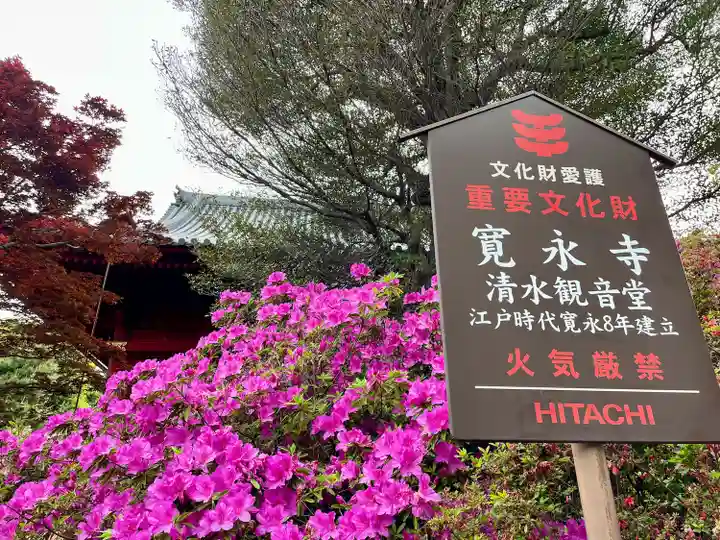 清水観音堂(東京都)