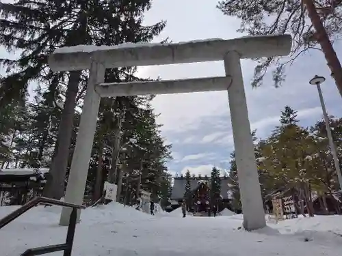 上川神社の鳥居