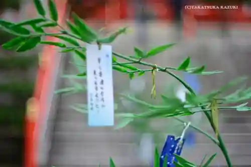 足利織姫神社のお祭り