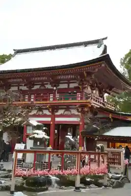 太宰府天満宮のおみくじ