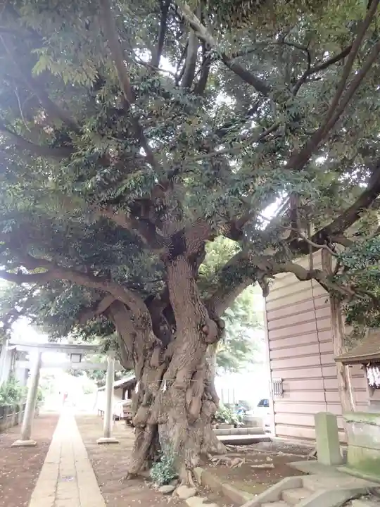 茂侶神社の自然