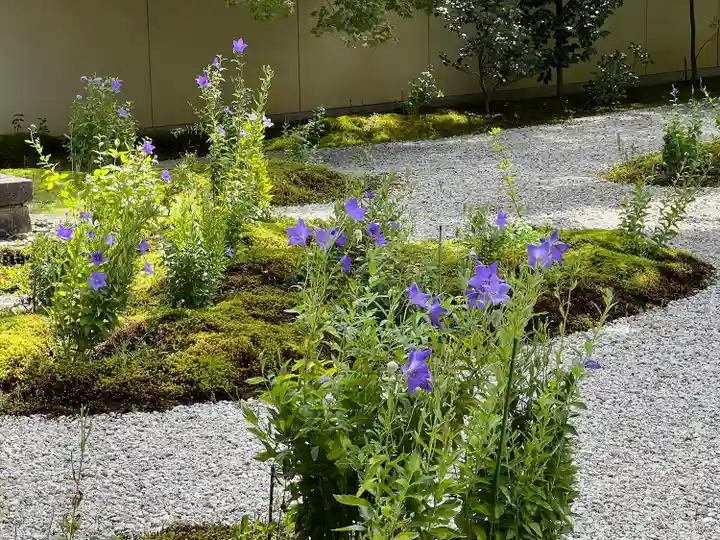 廬山寺(廬山天台講寺)(京都府)