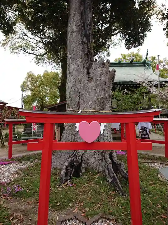 恋木神社の鳥居