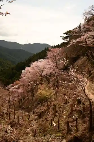 金峯神社（吉野町）の景色