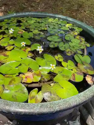 宗栄寺(愛知県)