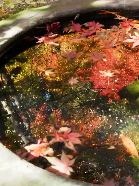 覚園寺(神奈川県)