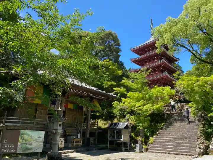 竹林寺(高知県)