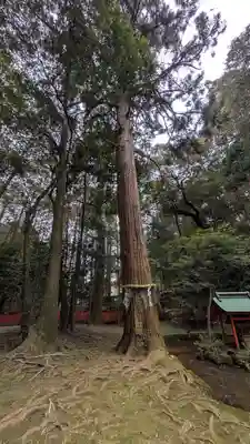 石山寺(滋賀県)